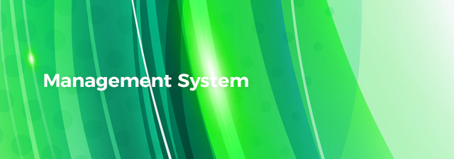 マネジメント体制