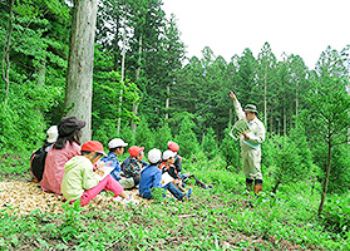 画像：環境にやさしい活動をおこなっています