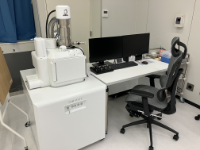 走査型電子顕微鏡（SEM）の写真