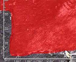 異常発生箇所の解析結果