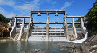 /var/rev0/0867/8610/ph_initiative_mimikawa_2002.jpg