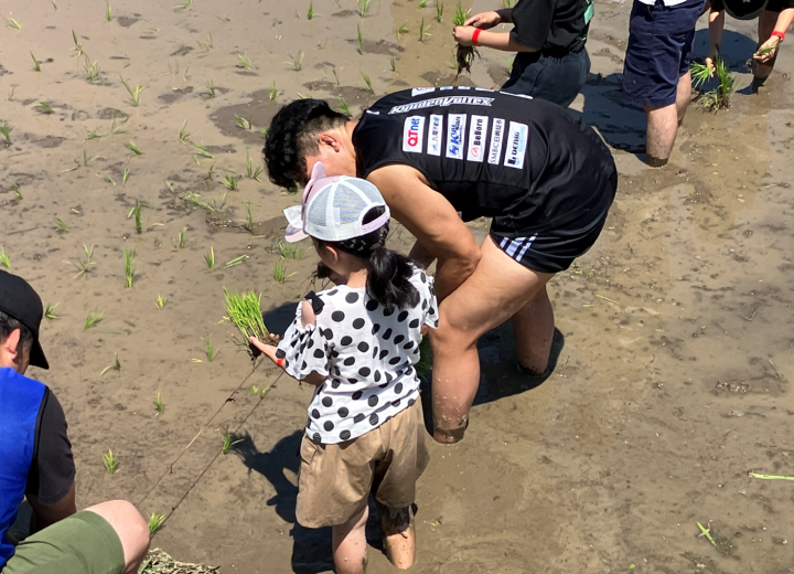 田植え体験の写真4 田植え体験の写真4
