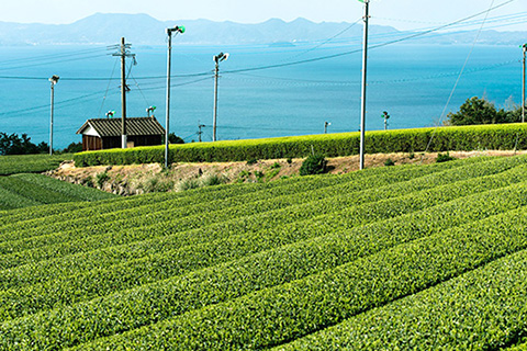 長崎県東彼杵町の写真