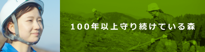 100年以上守り続けている森 100年以上守り続けている森